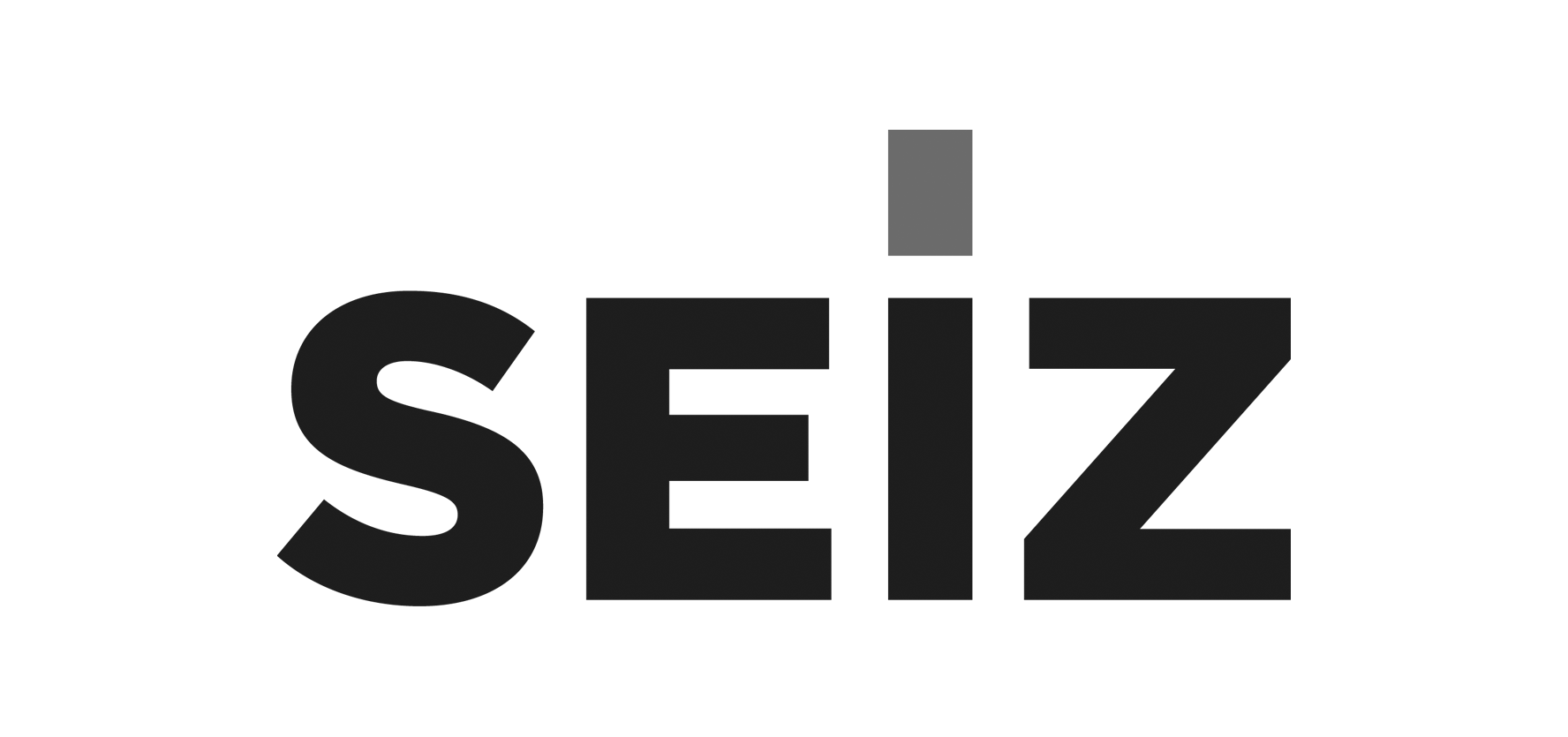 Seiz Logo