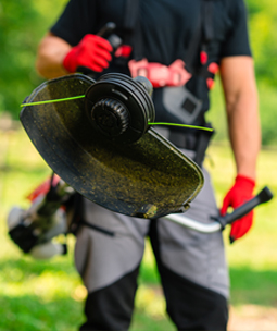 Person sgt mit einer Motorsge von KOX einen Baumstamm an, whrend Holzspne durch die Luft fliegen.
