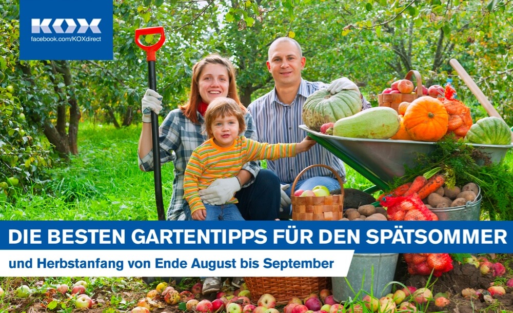 headertext-besten-garten-tipps-spaetsommer-herbst-herbstanfang-ernte-obst-gemuese-zwiebeln-blumen-werkzeug-ratgeber-pflanzen-winterfest-baume-schnei
