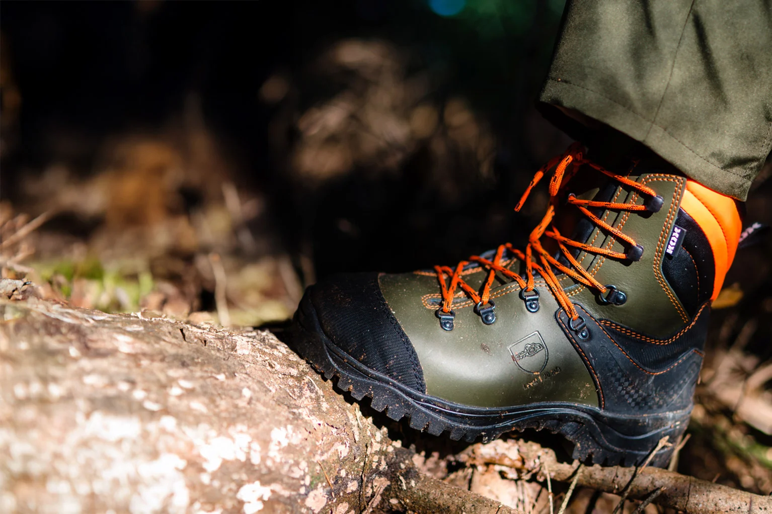 Nahaufnahme eines robusten Forststiefels in Gr�n und Schwarz mit orangefarbenen Schn�rsenkeln. Der Schuh steht auf einem Baumstamm im Wald, im Hintergrund sind Waldboden und Ge�st unscharf zu sehen.
