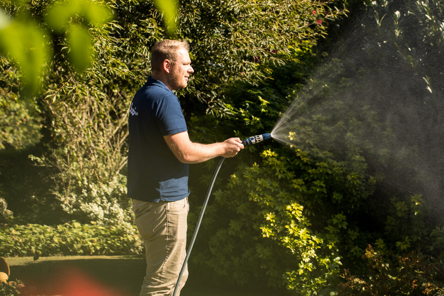 Ein Mann steht im Garten und spr�ht mit einer Handbrause Wasser auf dichte Str�ucher, im Sonnenlicht ist der feine Wassernebel gut zu sehen.