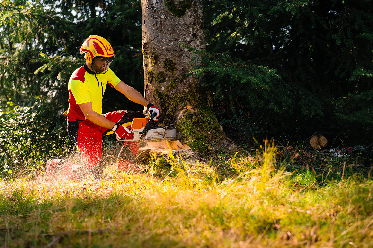Ein Forstarbeiter in gelb-roter Schutzkleidung s�gt mit einer Motors�ge einen stehenden Baum an, w�hrend Holzsp�ne durch die Luft fliegen.