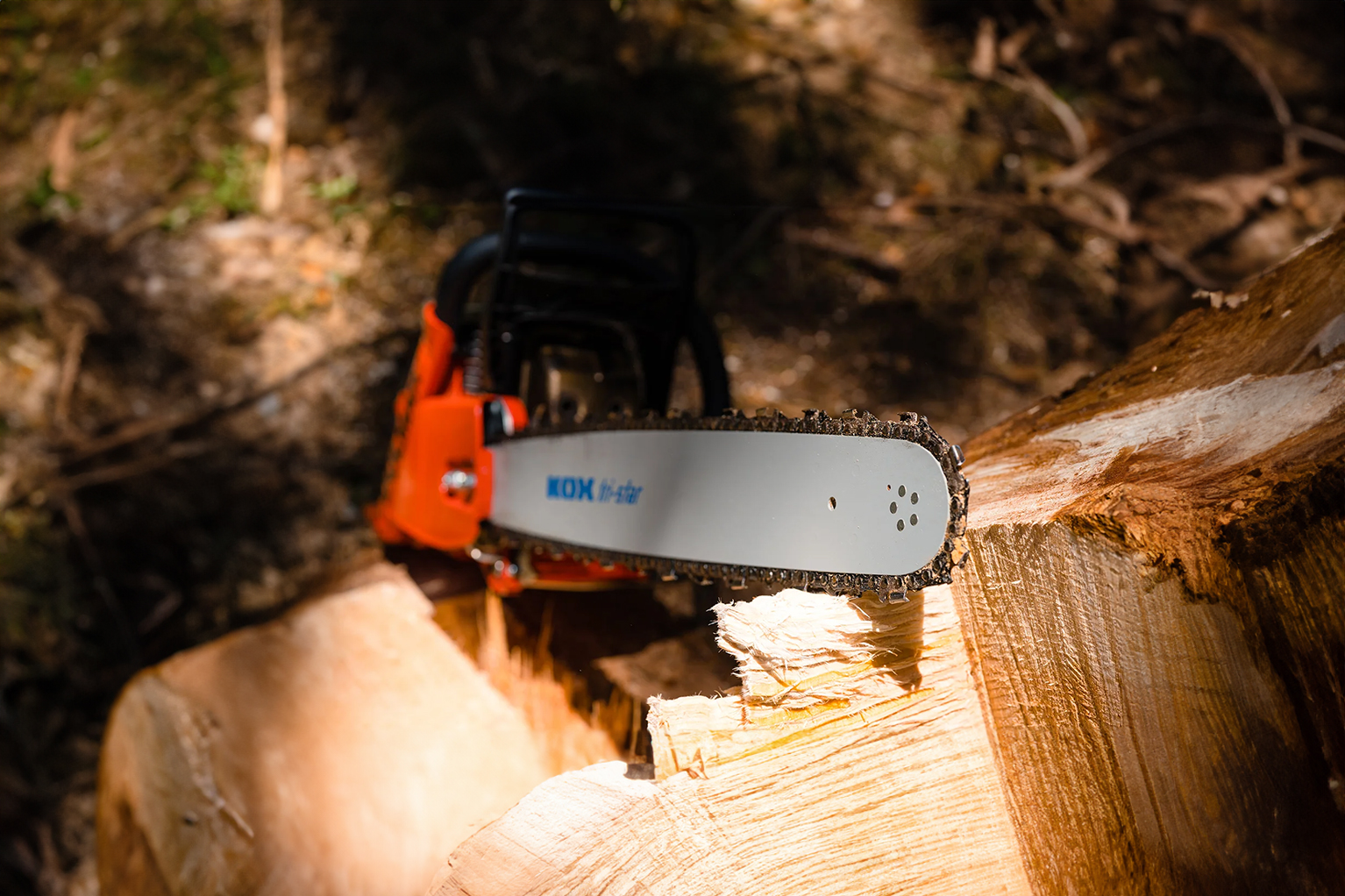 Eine Motors�ge liegt mit Schwert und Kette auf frisch geschnittenem Holz, der Hintergrund im Forst ist unscharf.
