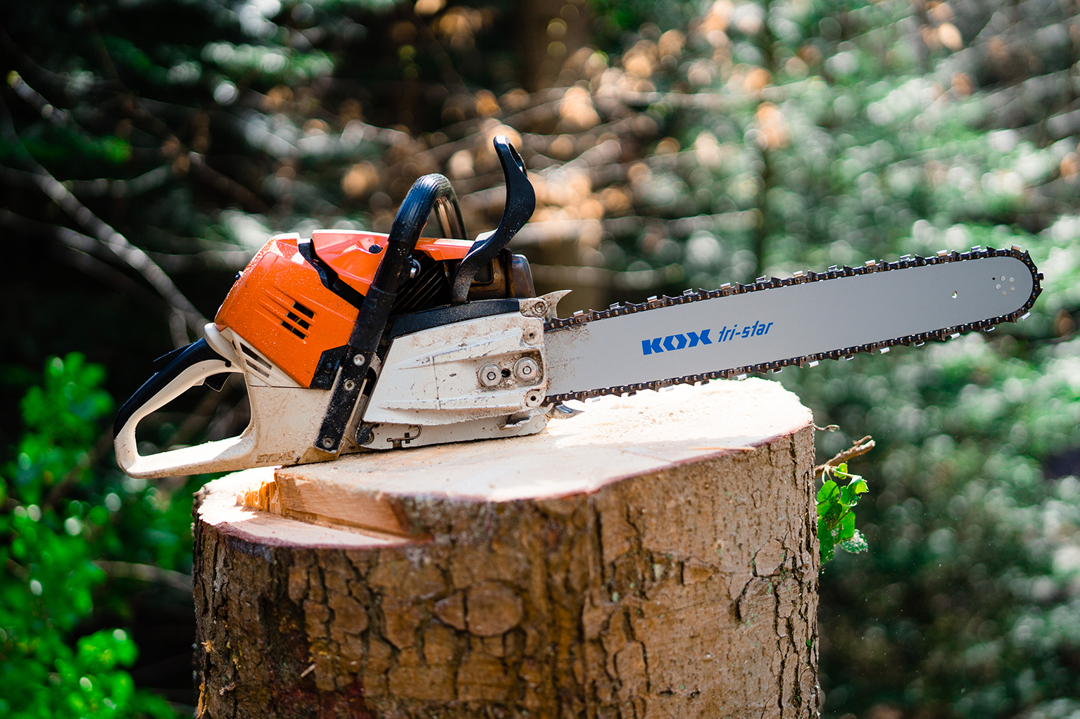 Motorsge mit KOX tri-star Fhrungsschiene und montierter Sgekette liegt auf einem frisch gefllten Baumstamm im Wald.