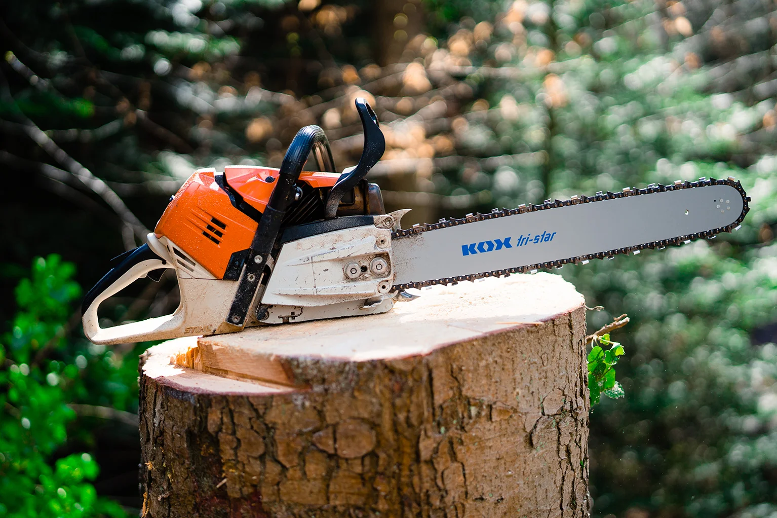 Motorsge mit KOX tri-star Fhrungsschiene und montierter Sgekette liegt auf einem frisch gefllten Baumstamm im Wald.