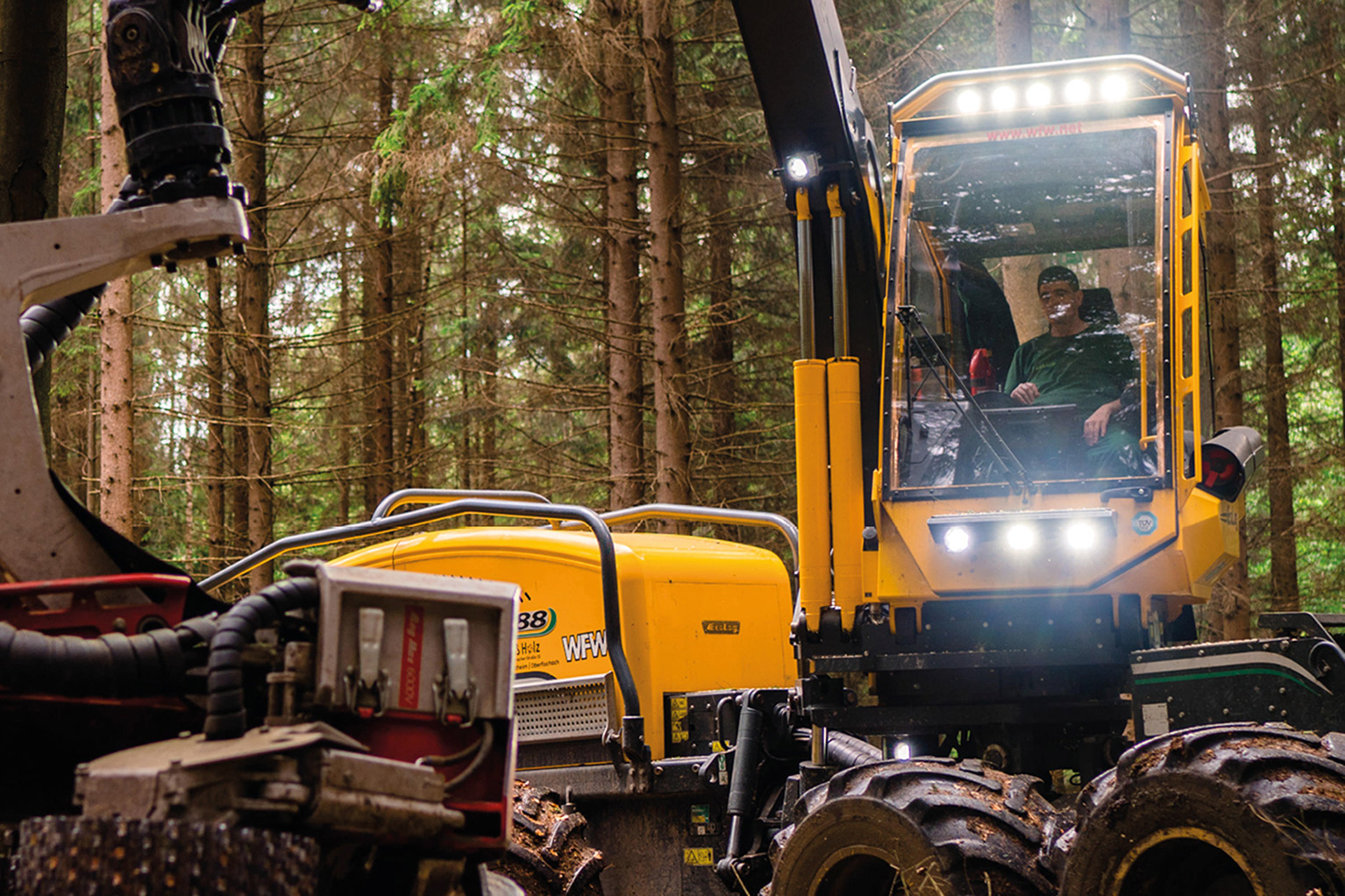 Eine gro�e Forstmaschine mit Fahrer steht zwischen B�umen im Wald.
