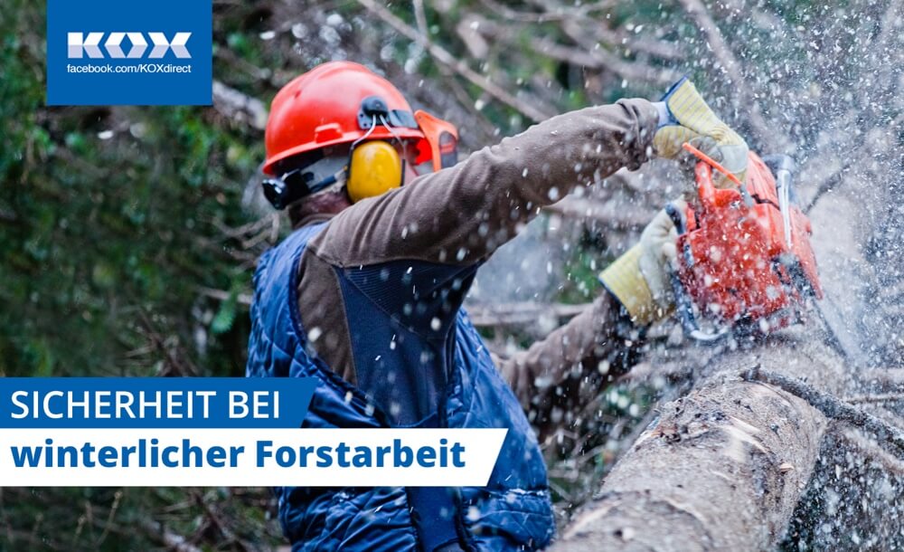 Sicherheit bei winterlicher Forstarbeit