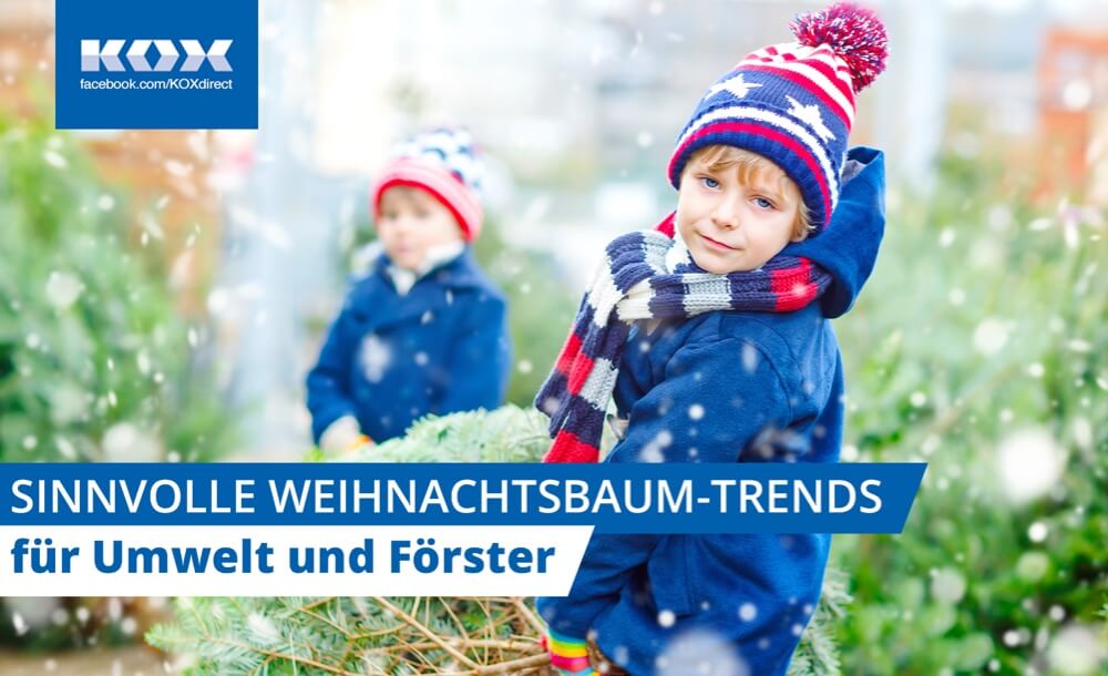Sinnvolle Weihnachtsbaum-Trends fr Umwelt und Frster