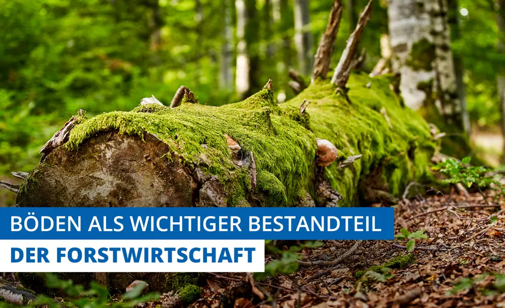 201125_KOX_Blog_Dezember_DE_1-1536x816