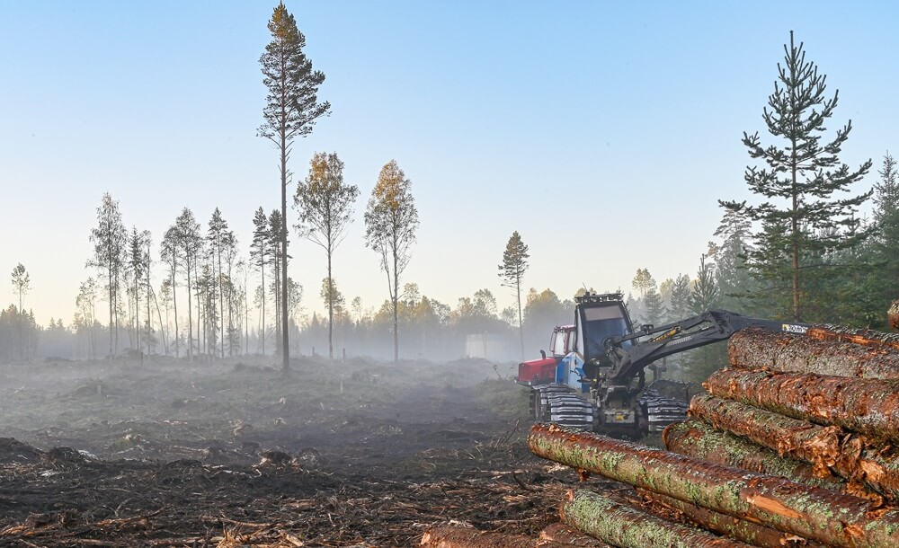 201125_KOX_Blog_Dezember_DE_4-1536x816