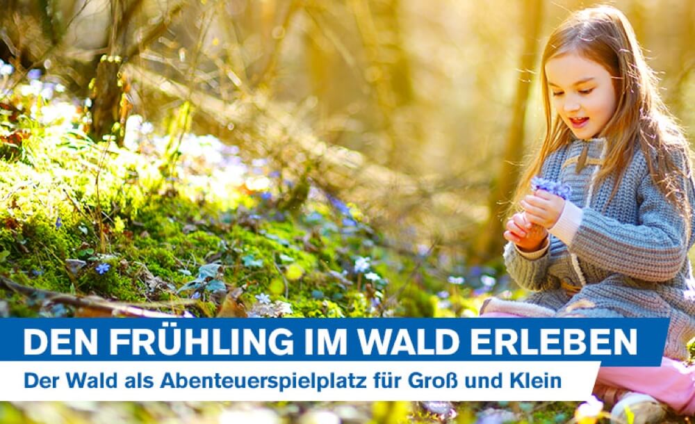 Frhling im Wald erleben &#8211; Der Wald als Abenteuerspielplatz fr Gro und Klein