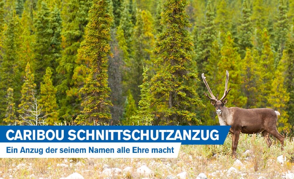 Die Caribou Schnittschutzkleidung: Warum das Modell seinem Namen alle Ehre macht [Infografik]