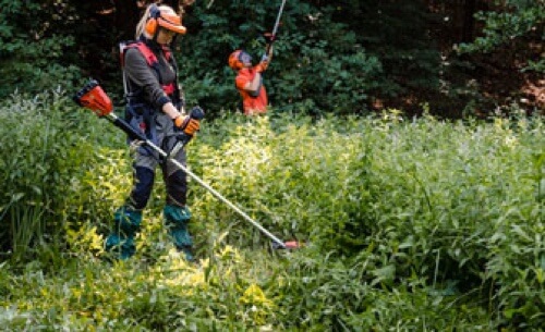 Forstarbeit und Motorsgen-Einsatz im Sommer