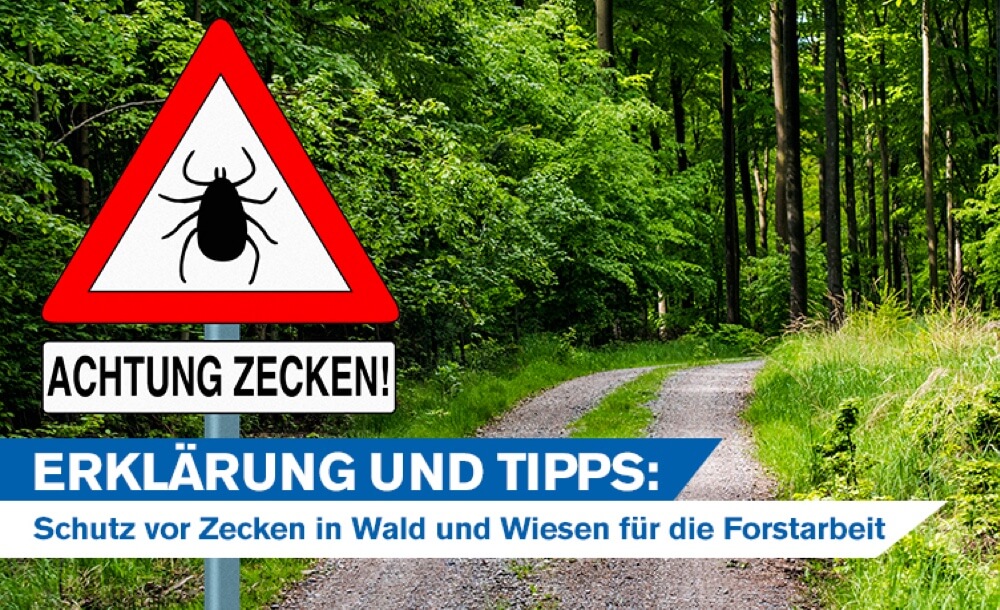 Erklrung und Tipps zum Schutz vor Zecken in Wald und Wiesen fr die Forstarbeit