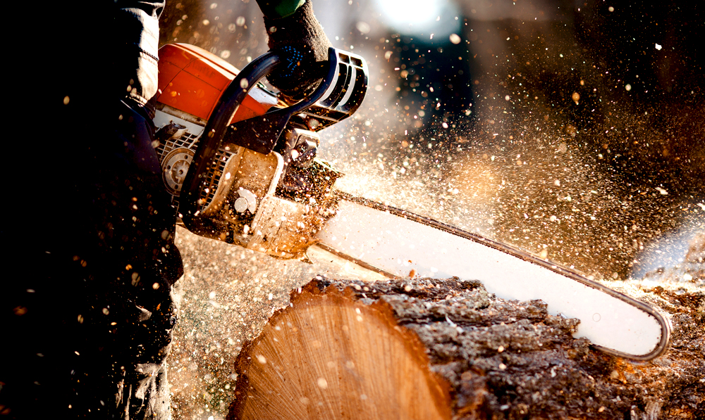 Kettensgen Tipps: Wie whle ich die richtige Kettensge, Sgekette und Schwert aus?