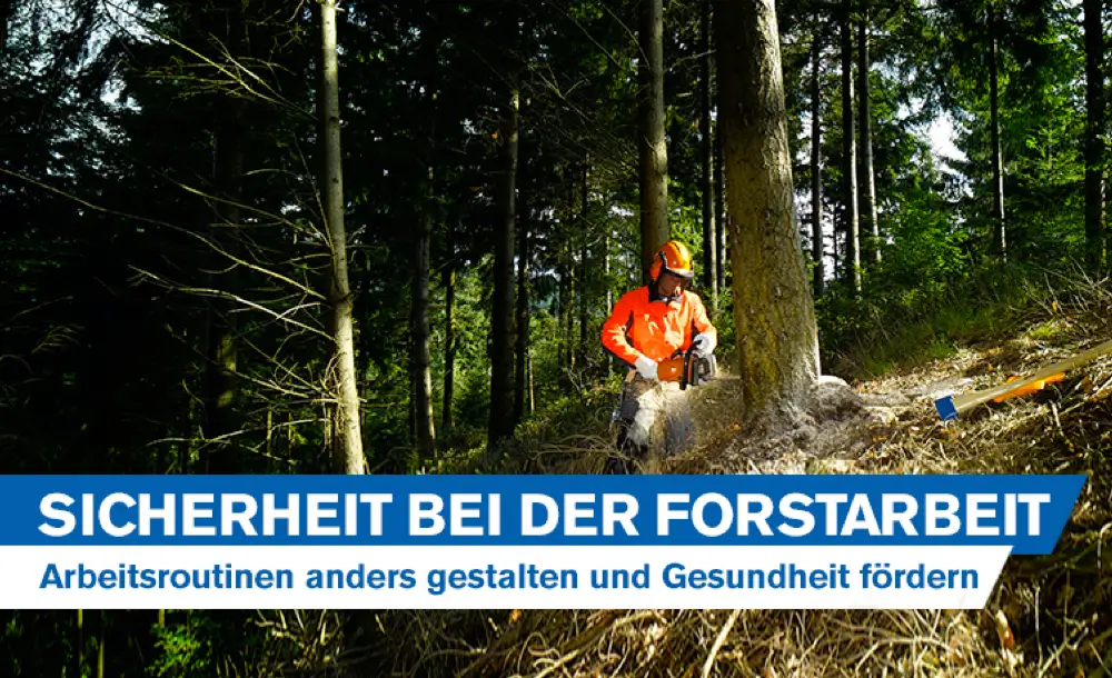 sicherheit-forstarbeit-arbeitsroutinen-verbessern-gesundheit-ruecken-scho