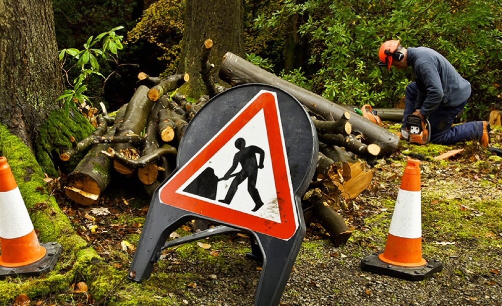 sicherheit-forstarbeit-arbeitsroutinen-verbessern-gesundheit-wald