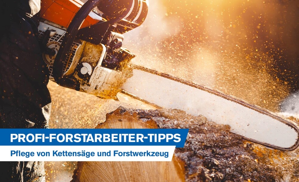 Profi-Forstarbeiter-Tipps fr die Pflege und Wartung von Kettensge und Forstwerkzeug: Wie lsst sich ein Kolbenfresser vermeiden?