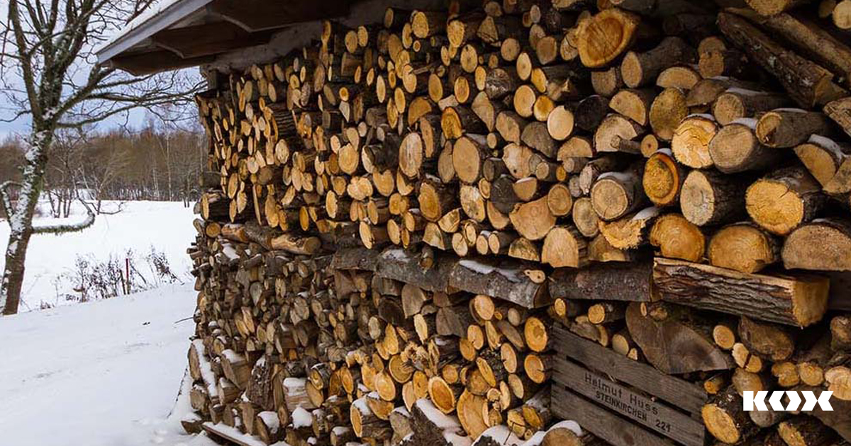 Tipps fr das richtige Lagern von Brennholz und welche Holzarten das beste Holz zum Verfeuern sind