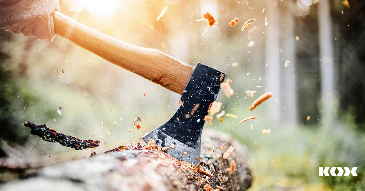 xte &#8211; die Form macht den Unterschied