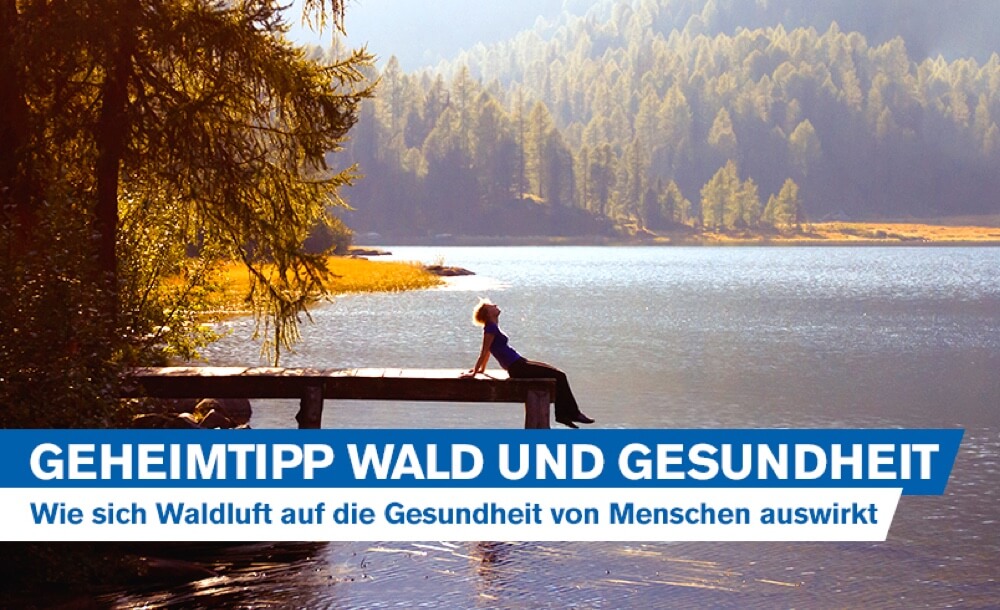 Geheimtipp Wald: Wie sich Waldluft auf die Gesundheit von Menschen auswirkt