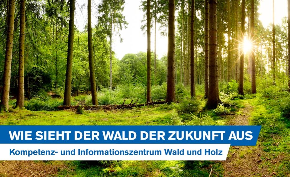 wald-zukunft-kompetenz-informationszentrum-wald-holz-forstwirtschaft-forst-blog-kox