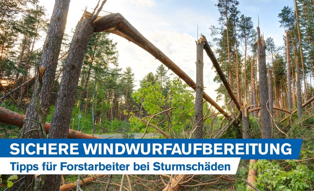 Sichere Windwurfaufarbeitung fr Forstarbeiter: Tipps zur richtigen Aufarbeitung von Sturmschden
