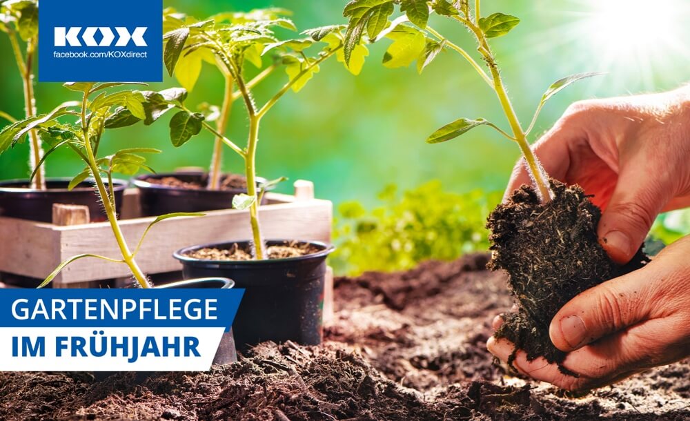 Gartenpflege im Frhjahr