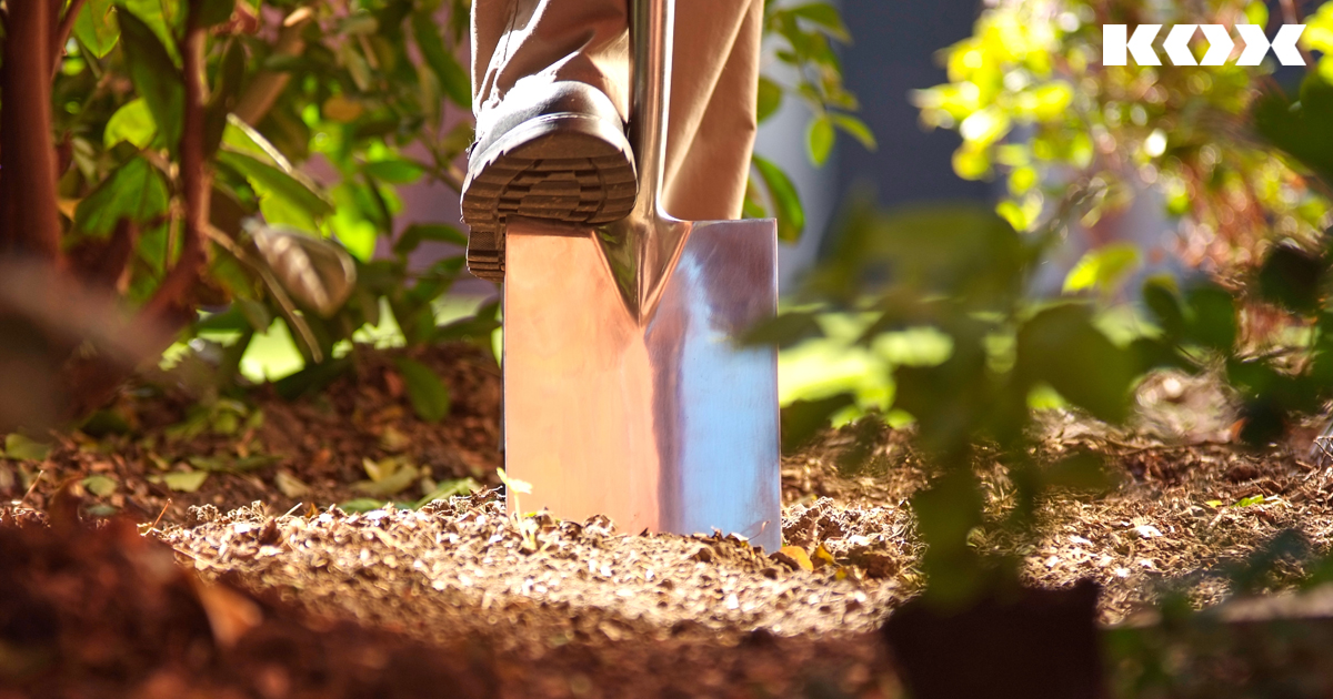Bden umgraben gegen Schnecken