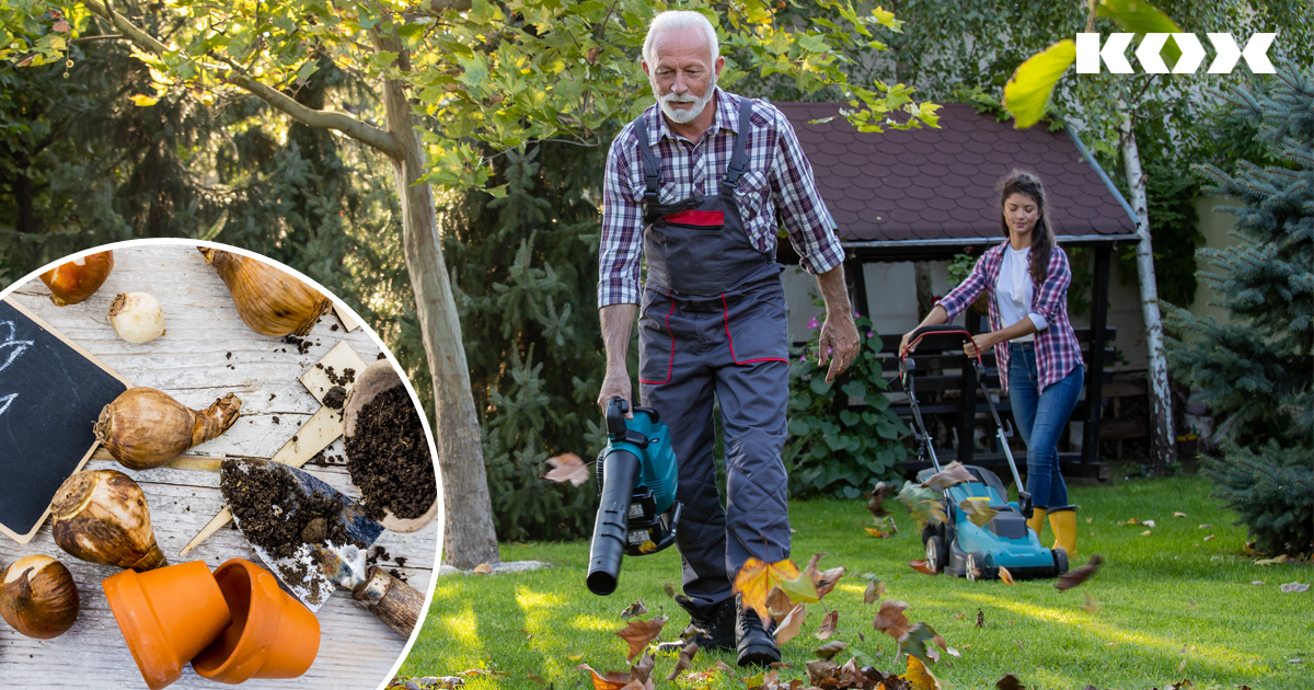 Top 5 Tipps fr Gartenarbeiten im Herbst: Garten Checkliste fr den September inkl. DIY Beetbegrenzung