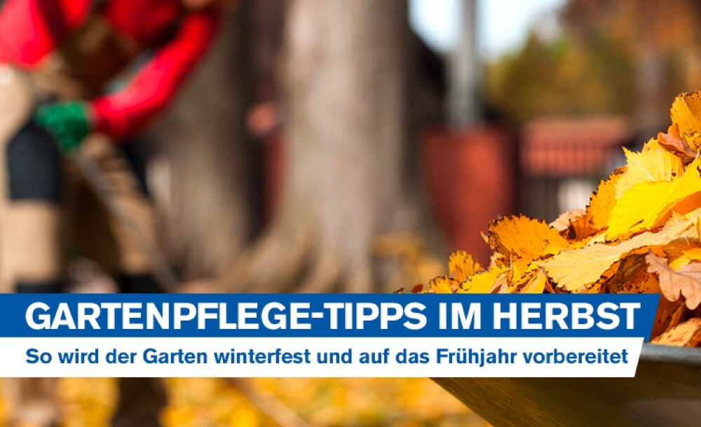 Gartenpflege-Tipps im Herbst: So wird der Garten winterfest gemacht und auf das Frhjahr vorbereitet