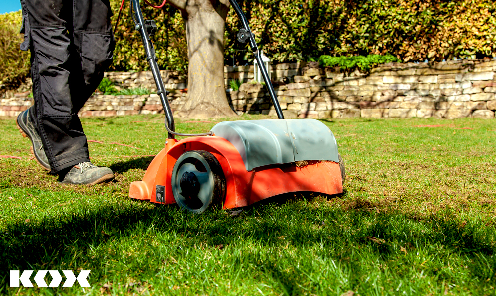 Tipp Rasen grner machen