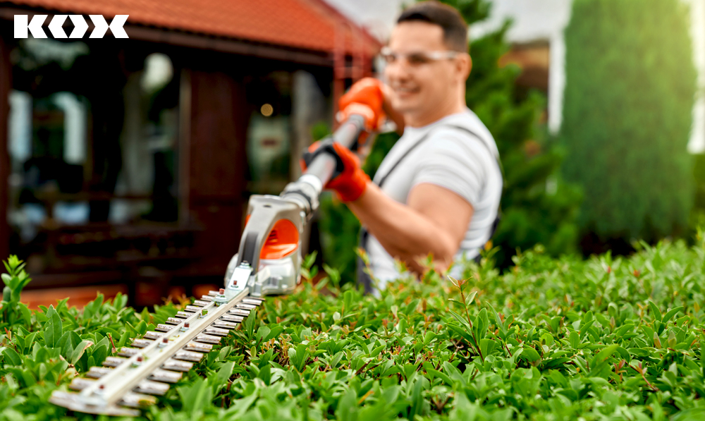 Tipp Hecken und Bume schneiden