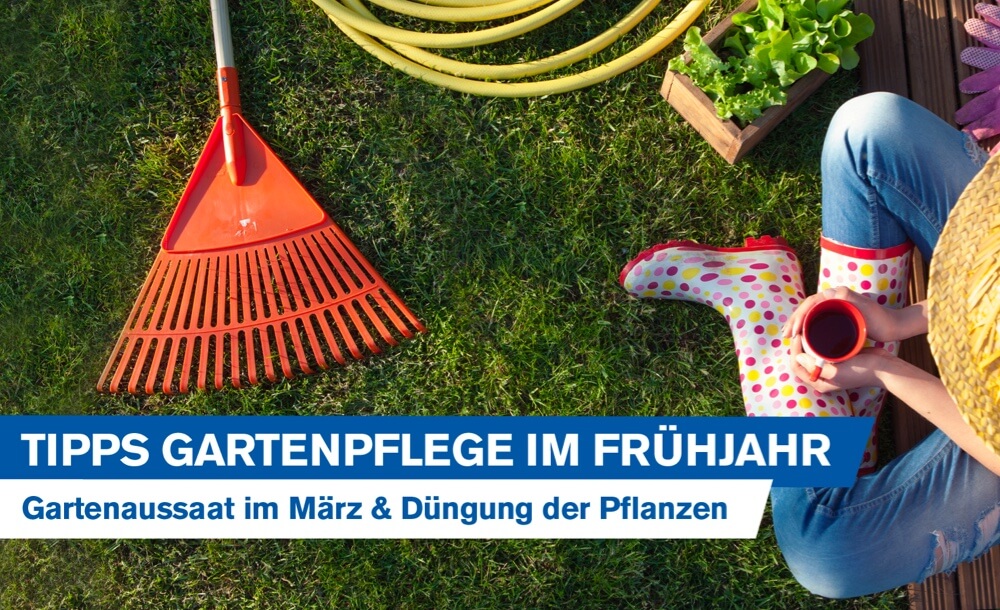 Tipps fr die Gartenpflege im Frhjahr: Gartenaussaat im Mrz und richtige Dngung der Pflanzen