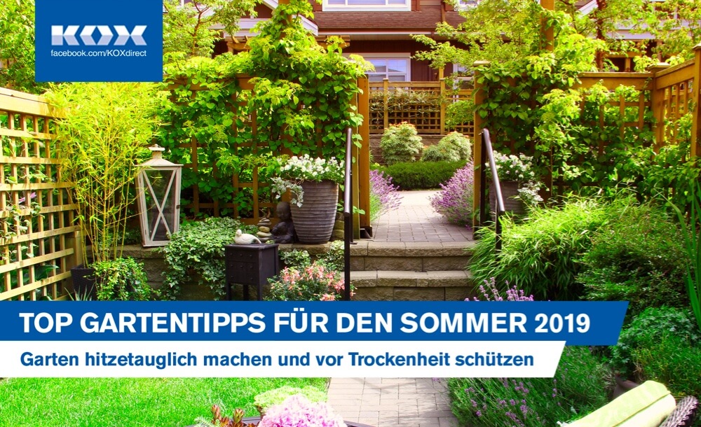 Top Gartentipps fr den Sommer 2019: So wird der Garten ganz einfach hitzetauglich und bersteht die Trockenheit