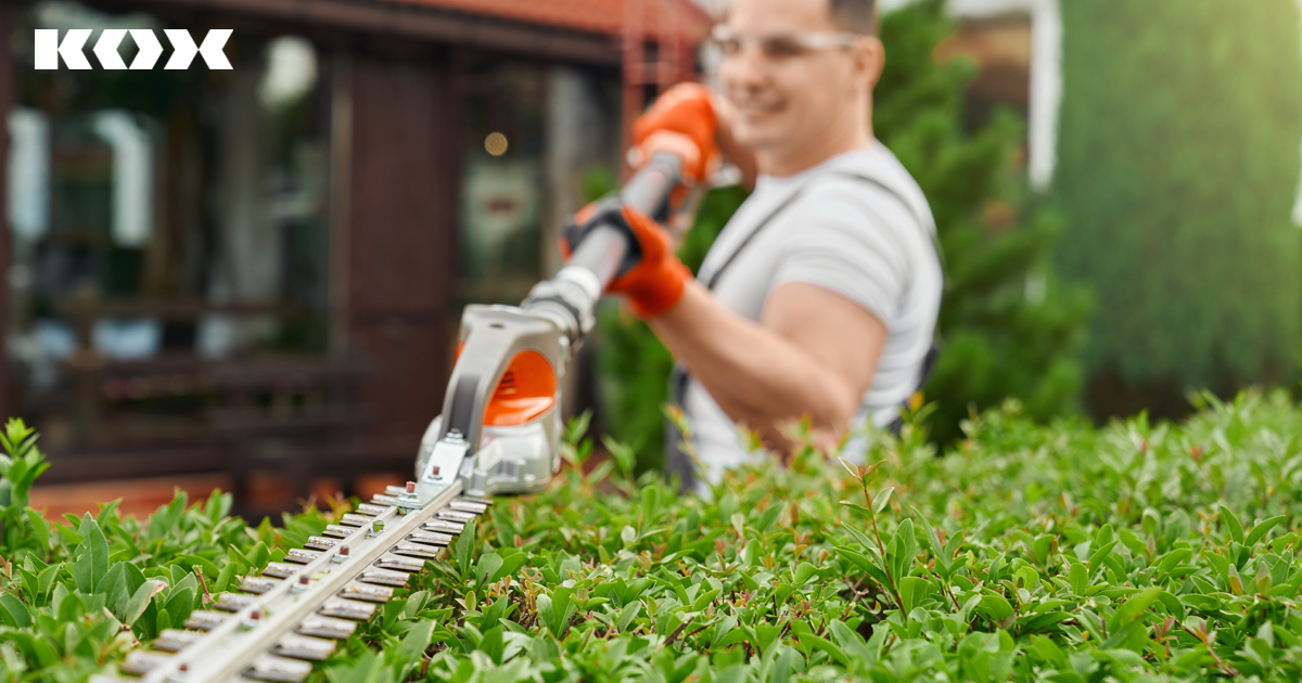 Staude, Bsche und Hecken schneiden