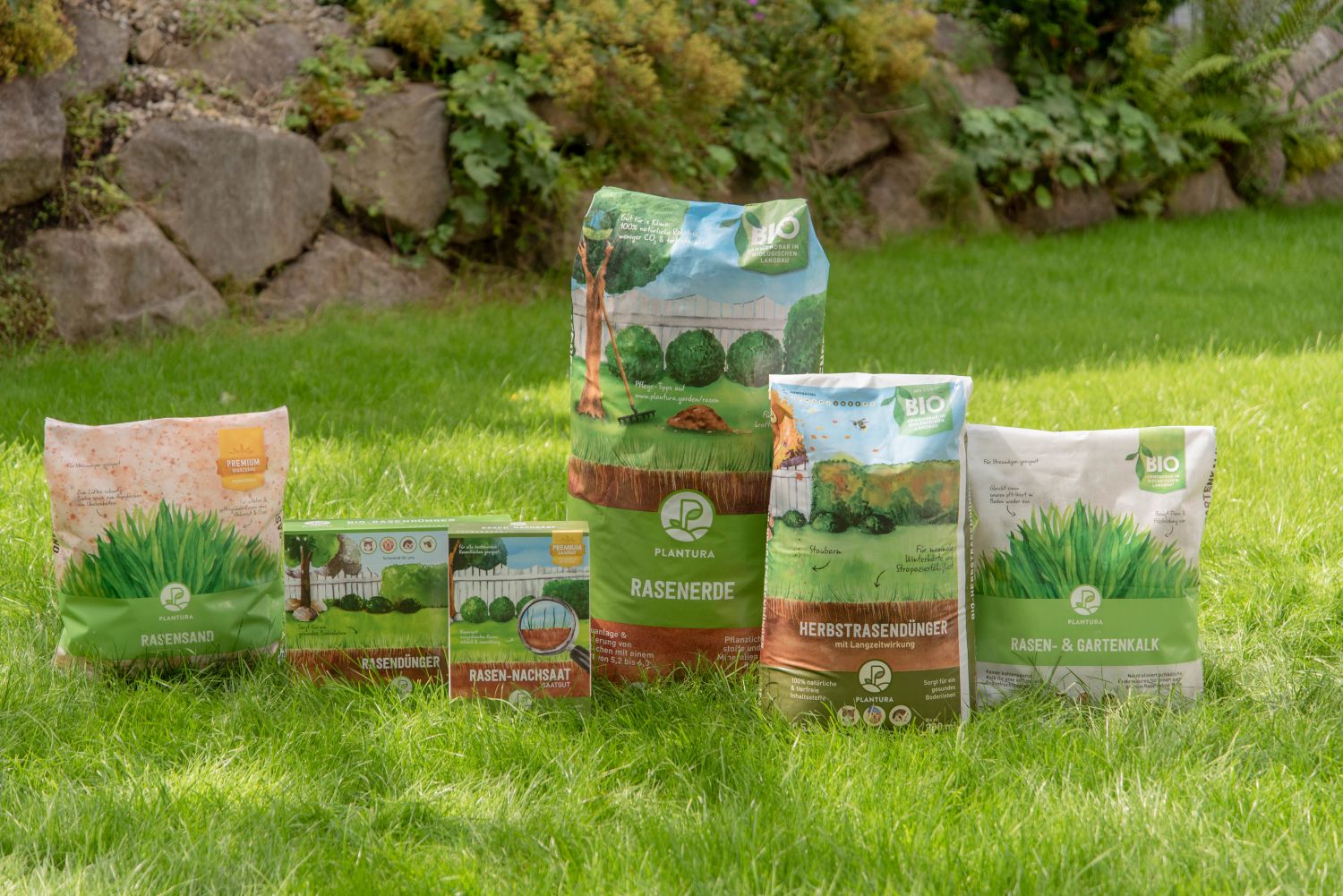 Rasenpflege: In 5 Schritten zum Traumrasen