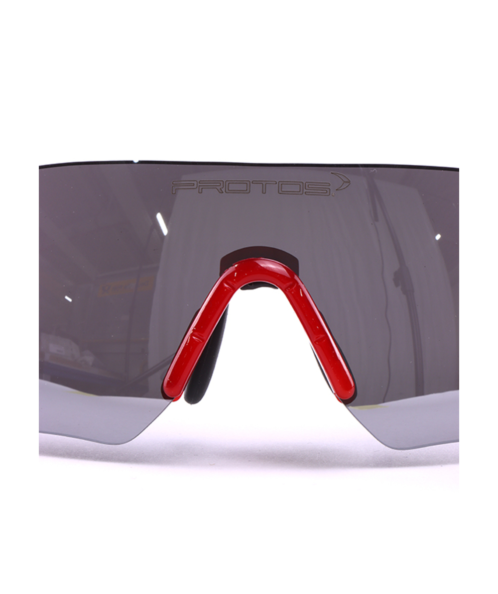 Protos Integral Schutzbrille Grau-verspiegelt 